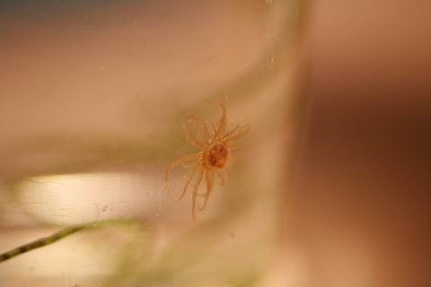 img00176.jpg