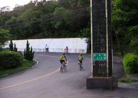 img00462.jpg