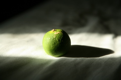 img00518.jpg