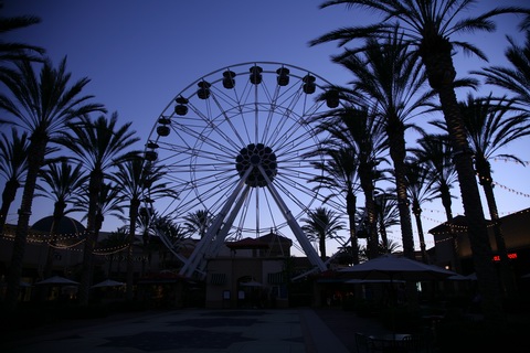 img00531.jpg