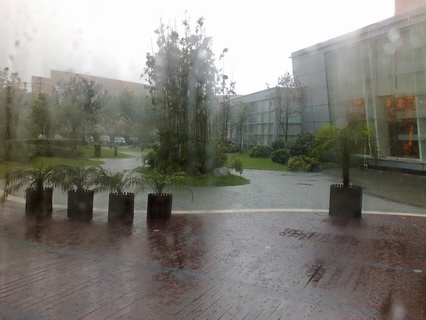img00546.jpg