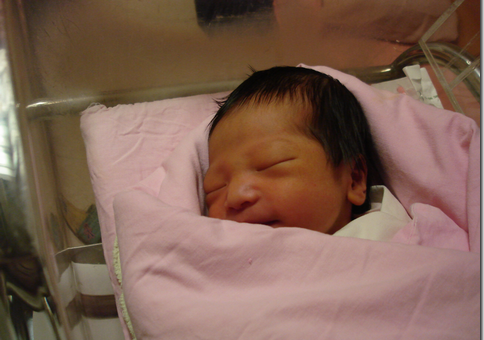img01469.png