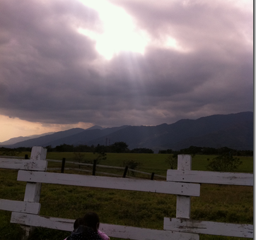 img02020.png